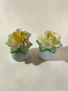 Antique Aynsley Rose Carnation Dainty Salt & Pepper Shakers